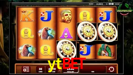 A Experiência Imersiva dos Cassinos Ao Vivo no ytbet